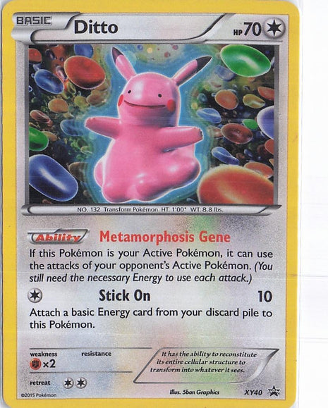 Ditto XY40