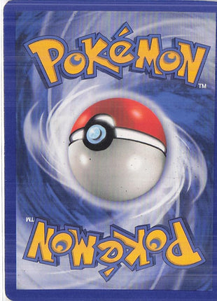 Houndour 66/144