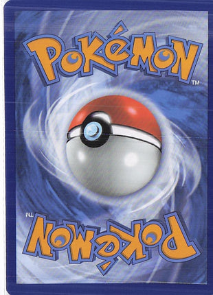 Electrode 101/165 (RH)