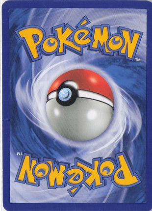 Charmander LV.8 82/132