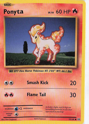 Ponyta 19/108
