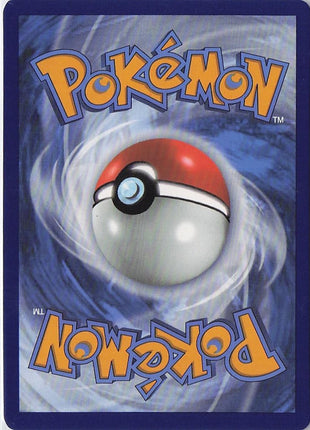 Lycanroc VMAX 213/203