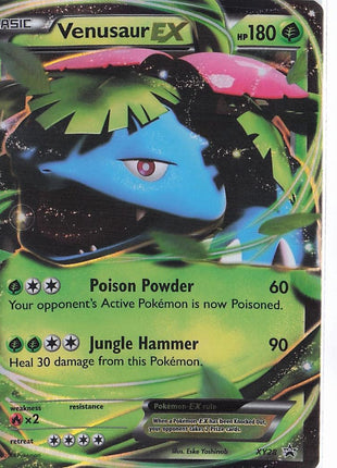 Venusaur EX XY28