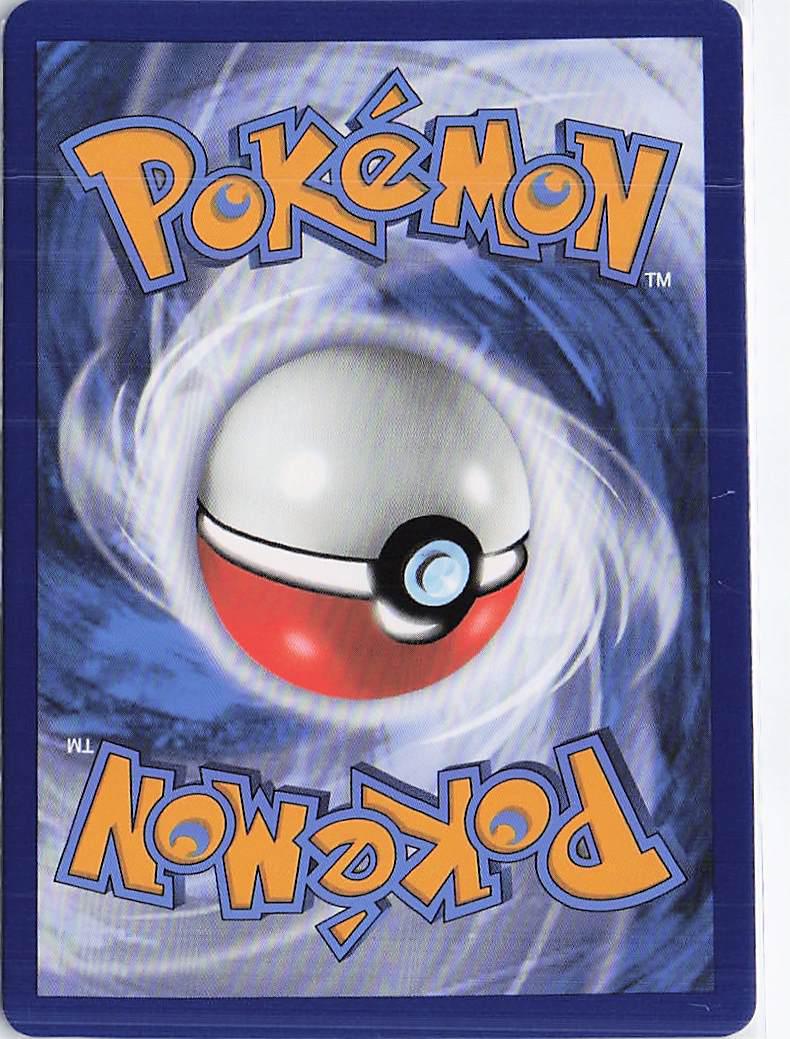 Lycanroc VMAX 213/203