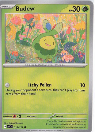 Budew 016/217