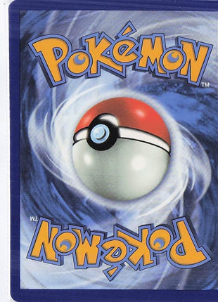 Snorlax V 141/202