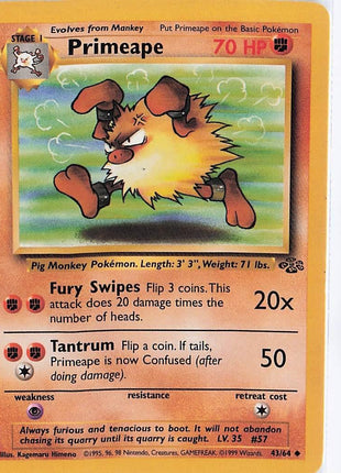 Primeape 43/64