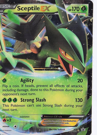 Sceptile EX XY53