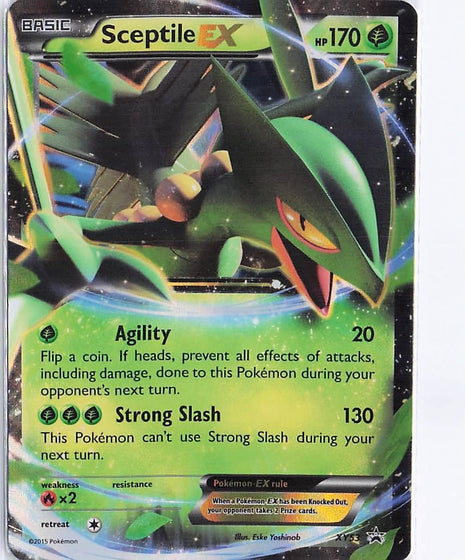 Sceptile EX XY53