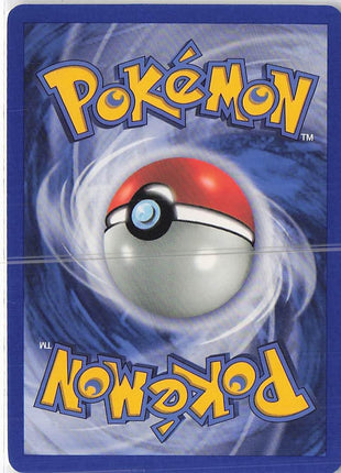 Zigzagoon 79/109