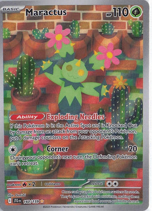 Maractus 160/159