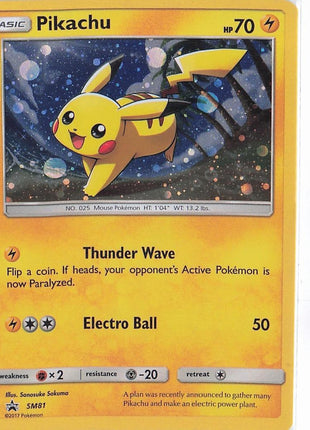 Pikachu SM81