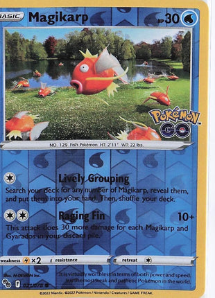 Magikarp 021/078 (RH)