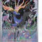 Pokemon Singles