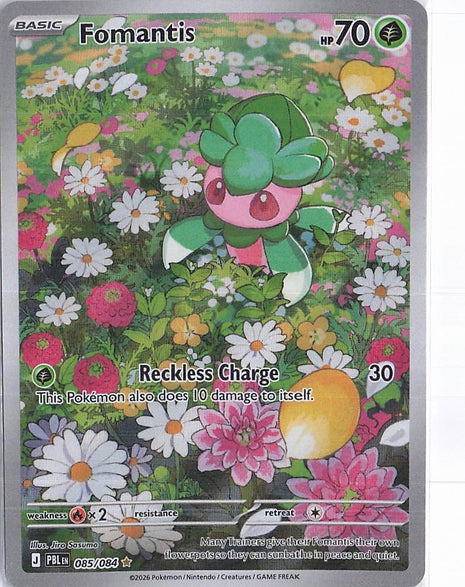 Fomantis 085/084