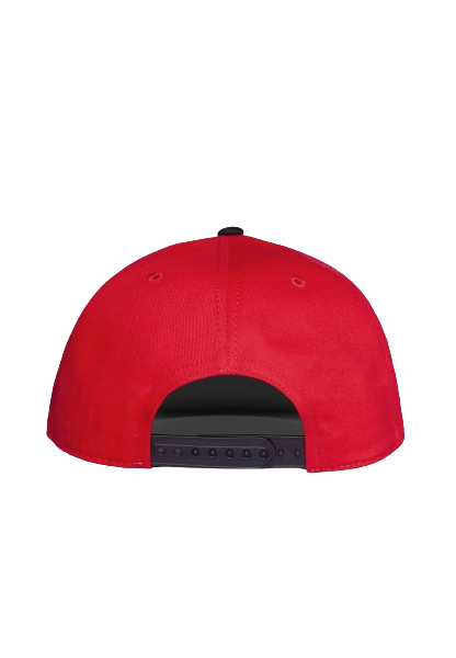 Pokemon - Difuzed Pokeball Snapback Cap