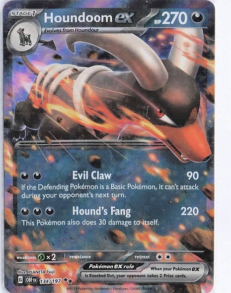 Houndoom ex 134/197