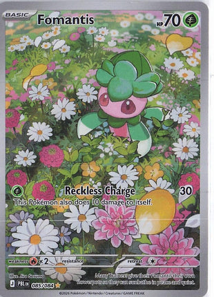 Fomantis 085/084