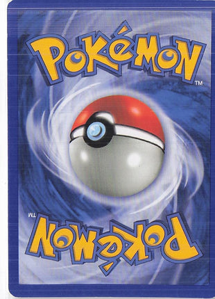 Charmander LV.8 82/132