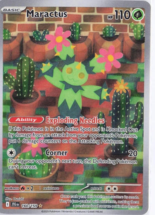 Maractus 160/159