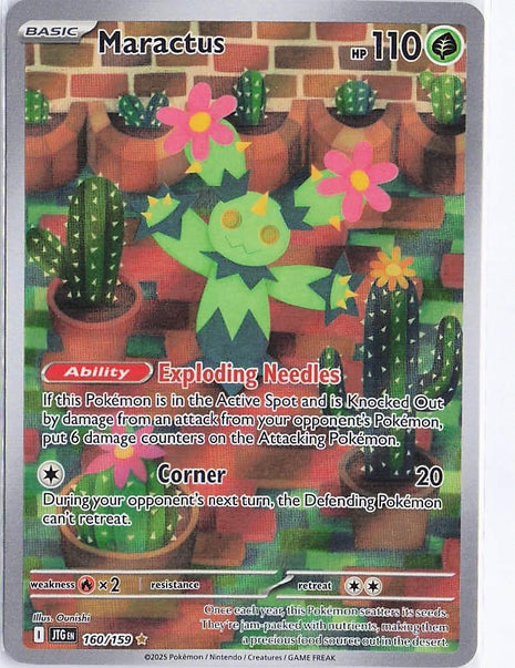 Maractus 160/159