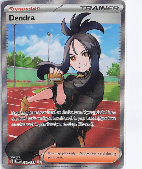 Dendra 250/193