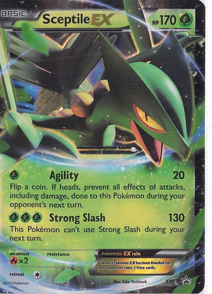 Sceptile EX XY53