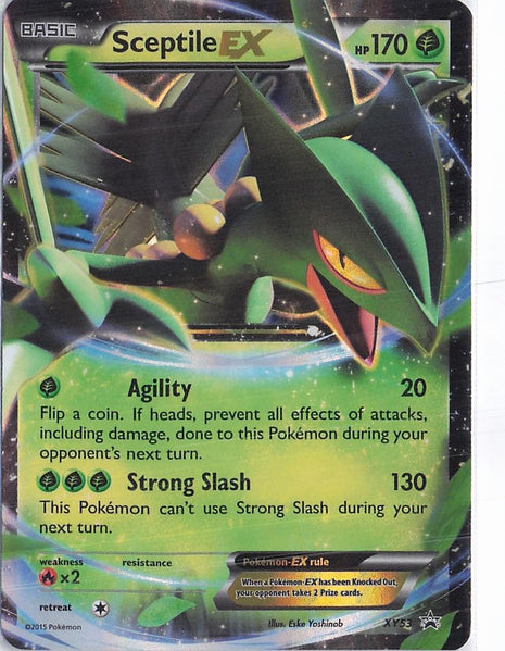 Sceptile EX XY53