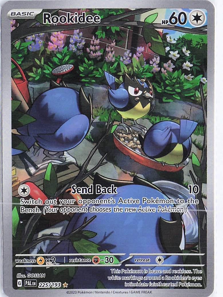 Rookidee 225/193