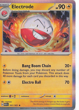 Electrode 101/165 (H)