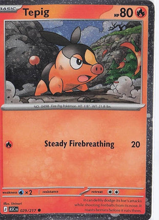 Tepig 029/217 (Cosmic)