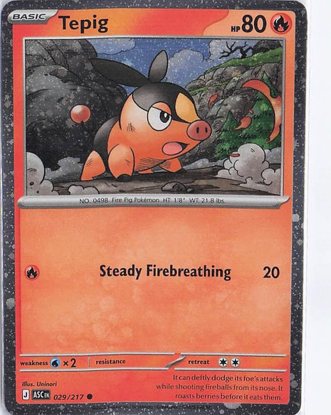 Tepig 029/217 (Cosmic)