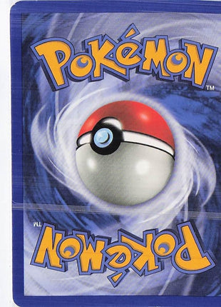Squirtle 95/110 (H)