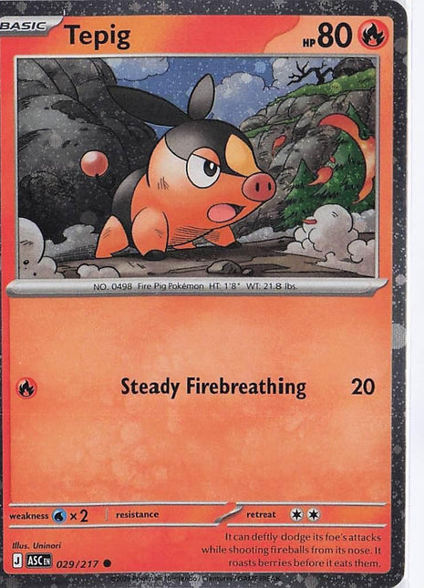 Tepig 029/217 (Cosmic)