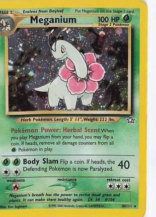 Meganium 10/111 (H)