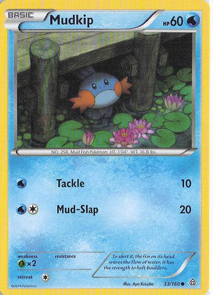 Mudkip 33/160