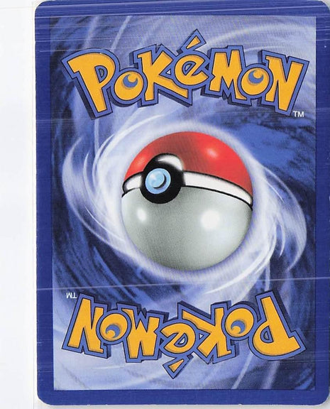Totodile 80/111 (1st)