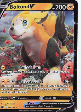 Boltund V SWSH219