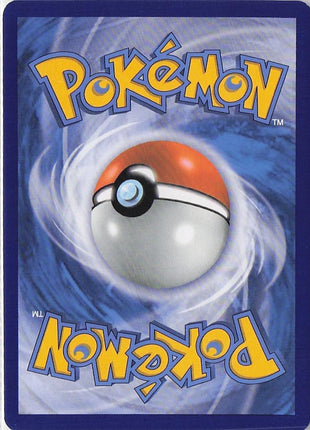Pikachu 42/146
